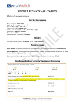 Report-Tecnico-Valutativo-con-Note-Fac-Simile-1
